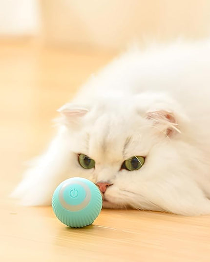Cat Ball Toy, Automatic 360° Self-Rotating Rolling Ball with USB Rechargeable Moving, Lighting, Pet Exercise Kitten and Dog Playing Smart Cat Toy (Multicolor)