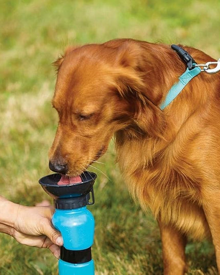 Pet Sipper Portable Aqua Fresh Water Pump Bowl Bottle Mug Cup for Pet