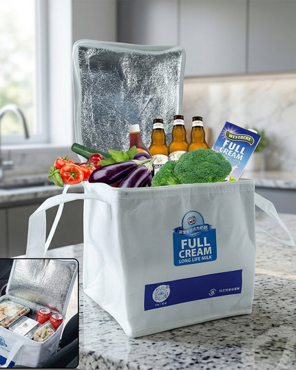 Insulated Thermal Lunch Bag (1 Pc 23x20 Cm)
