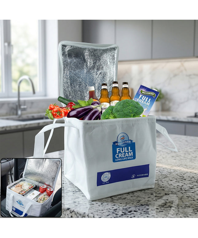 Insulated Thermal Lunch Bag (1 Pc 23x20 Cm)