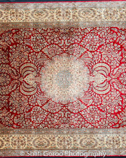 Extreme high knot Kashmir silk on silk carpet 4' x 6'