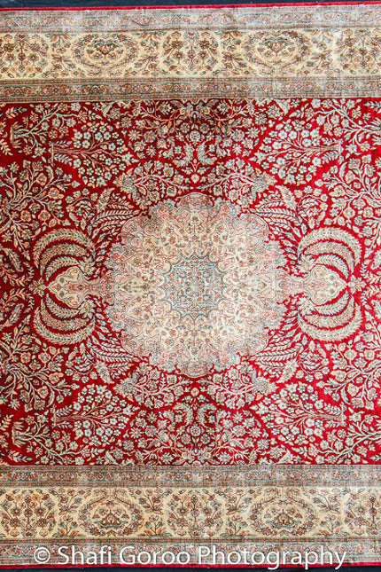Extreme high knot Kashmir silk on silk carpet 4' x 6'