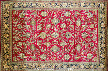 Extreme high knot Kashmir silk on silk carpet 4' x 6'