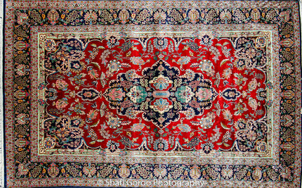 Extreme high knot Kashmir silk on silk carpet 4' x 6'