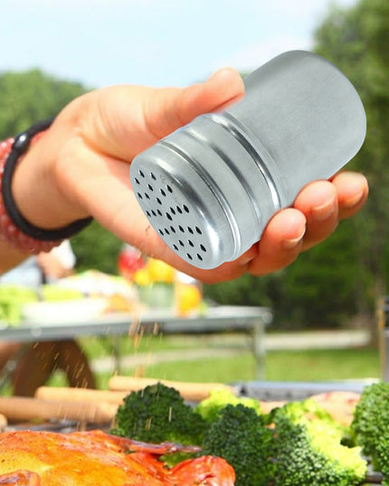 Multipurpose Stainless-steel Spice Shaker Container (1 Pc)