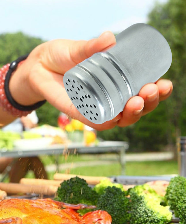 Multipurpose Stainless-steel Spice Shaker Container (1 Pc)