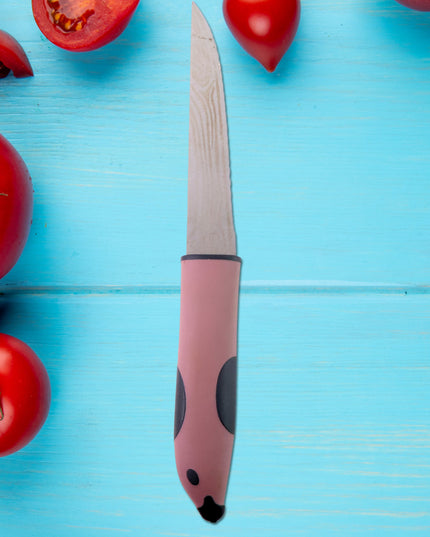Multi-purpose Stainless Steel Kitchen Cutting Knife (1 Pc)