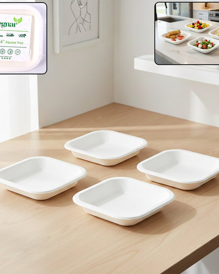 Disposable Square Food Serving Tray Set (10 Pc)