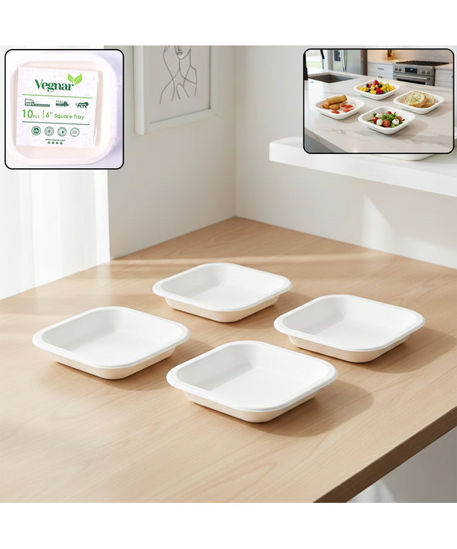 Disposable Square Food Serving Tray Set (10 Pc)