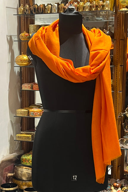 Plain Pashmina Stole