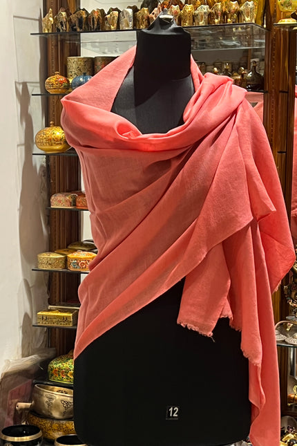 Plain Pashmina Stole