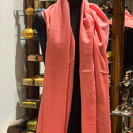 Collection image for: Plain Pashmina Stole