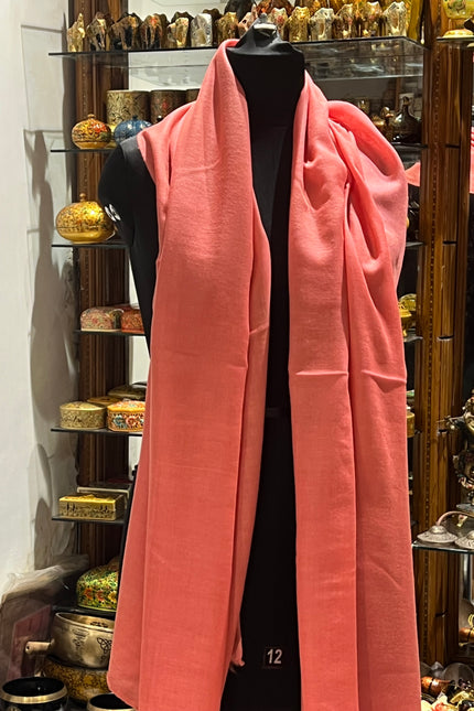 Plain Pashmina Stole