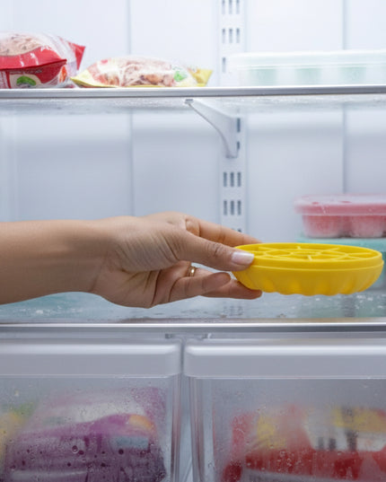 Premium Round Ice Cube Tray With Lid (1 Pc)