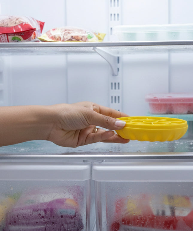 Premium Round Ice Cube Tray With Lid (1 Pc)