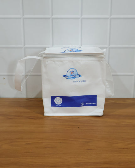 Insulated Thermal Lunch Bag (1 Pc 23x20 Cm)