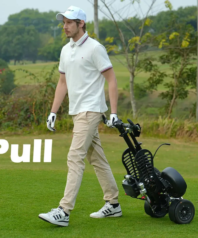 Eswing 2025 Four Wheel Stand up Golf Buggy 10 Inch 1600W Electric Golf Cart Folding Trolley Golf Scooter for Golf Courses