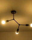 3 Heads Black / Not include bulb
