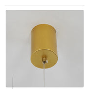 Modern LED Ceiling Chandelier Indoor Lighting Dining Table Chandelier Pendant Hanging Light Living Room Decoration Kitchen Lamp