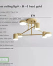 B6 Gold / Tricolor light