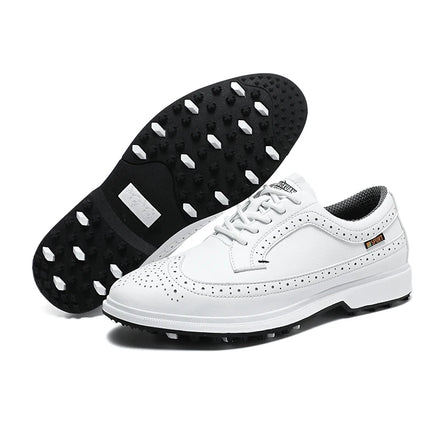 Four Seasons Universal Golf Shoes Men's Waterproof And Breathable Golf fixed Needle BOA Golf Shoes Outdoor Walking Sports Shoes