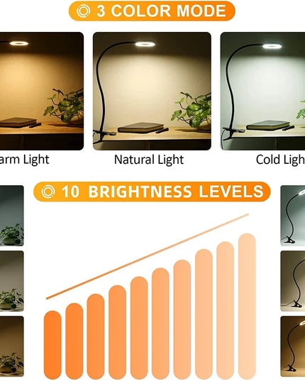 Led Table Lamp USB Rechargeable Night Light With Folding Clamp Study Stand Read Lamp Touch 3 Modes Dimming Eye Protection Light