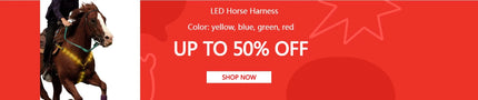 Professional Rhythmic Gymnastic Shoes, Dance Shose, Half Socks, Knitted Soft Sole, Anti Slip, Competition Sole Shoes