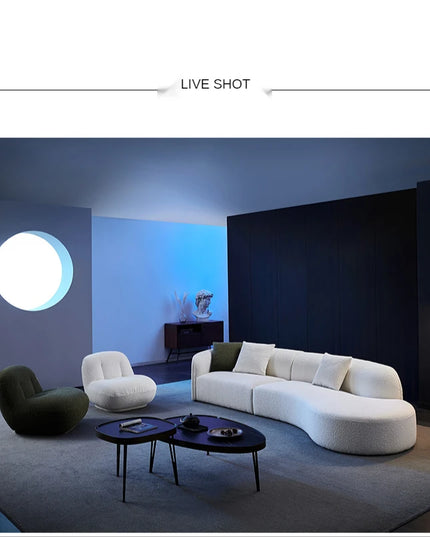 curved sofa modern minimalist living room large apartment concubine light luxuryinsWind shaped corner fabric sofa