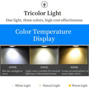 Modern E27 LED Chandelier Light  For Living Room Bedroom Dining Table Kitchen Study Ceiling Pendant Lamps Lustre Home Decoration