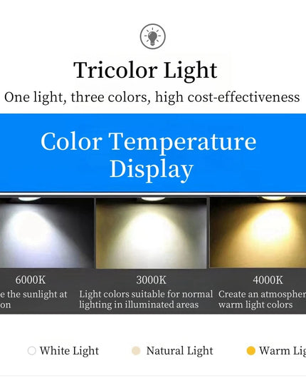 Modern E27 LED Chandelier Light  For Living Room Bedroom Dining Table Kitchen Study Ceiling Pendant Lamps Lustre Home Decoration