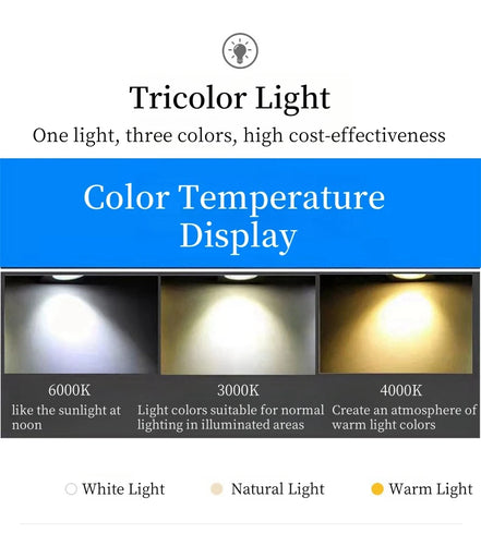 Modern E27 LED Chandelier Light  For Living Room Bedroom Dining Table Kitchen Study Ceiling Pendant Lamps Lustre Home Decoration