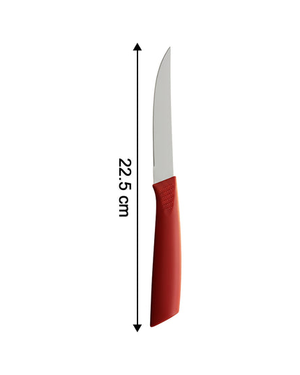 Multipurpose Stainless Steel Fruit Knife Set Of 3