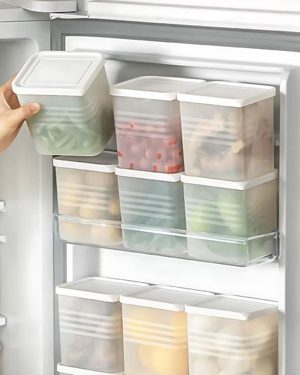 Transparent Square Plastic Food Storage Container Set (6 Pc)