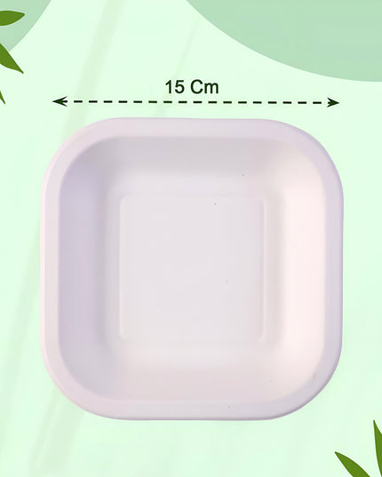 Disposable Square Food Serving Tray Set (10 Pc)