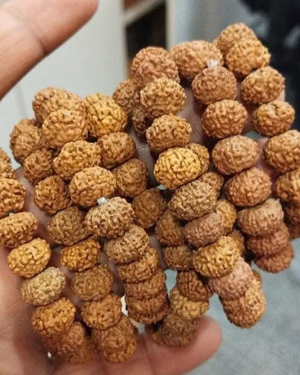 7 Mukhi Rudraksha Bracelet
