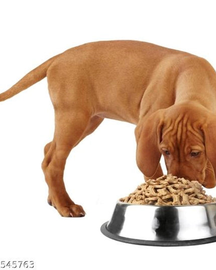 Stainless Steel Feeding Bowl for Pet (Multicolor, 1200 ml)