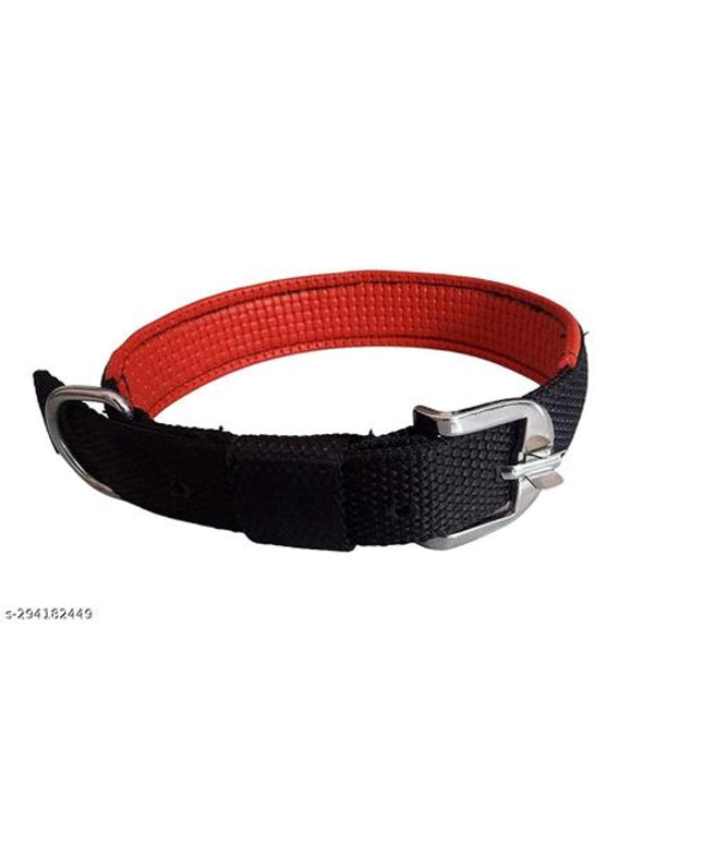 Neck Coller Belt for Pet (Multicolor, M)
