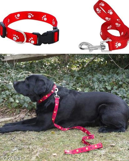 Neck Collar 0.15 mm Belt for Pet (Multicolor, S)