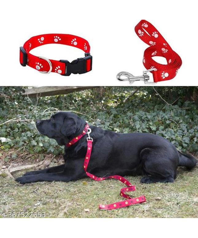 Neck Collar 0.15 mm Belt for Pet (Multicolor, S)