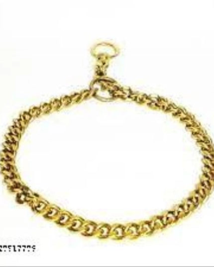 Brass Coller Chain for Pet (Multicolor, 24 inches)
