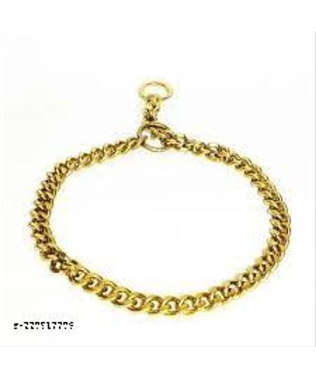 Brass Coller Chain for Pet (Multicolor, 24 inches)