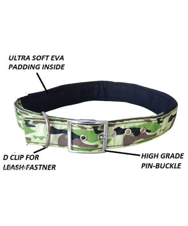 Neck Coller 0.5 inches Belt for Pet (Multicolor)