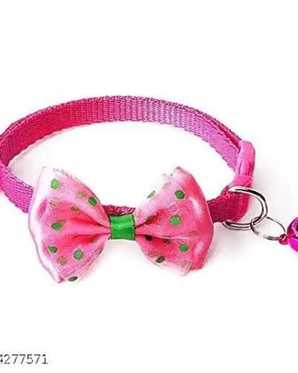 ABS Plastic Coller Belt for Pet (Multicolor)
