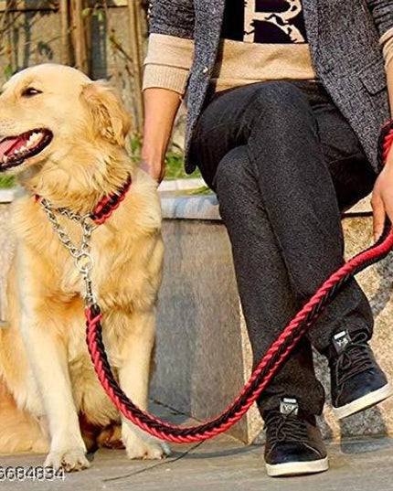 Neck Collar Belt for Pet (Multicolor, XL)