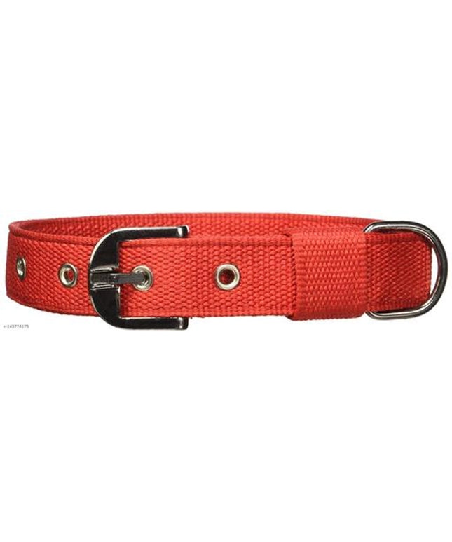 Neck Collar 0.5 mm Belt for Pet (Multicolor, M)
