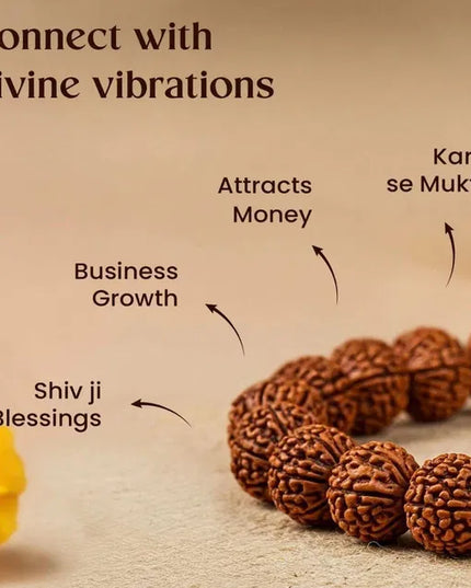 7 Mukhi Rudraksha Bracelet