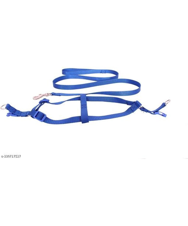 Harness with 5 Feet Leash for Pet (Multicolor, 0.1 inches) (Set of 1)