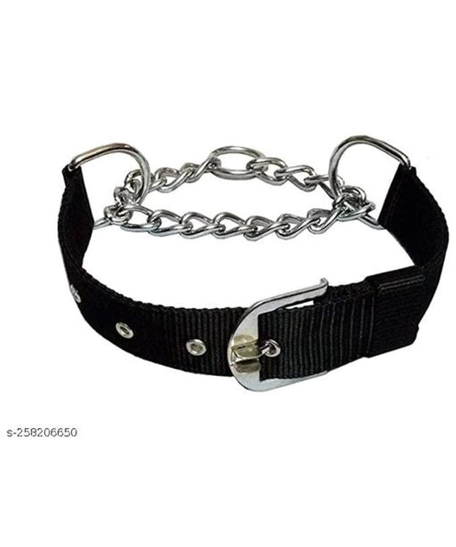 Coller Belt for Pet (Multicolor, L)