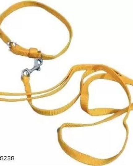 Neck Coller Belt with 5 Feet Leash for Pet (Multicolor, S) (Set of 1)