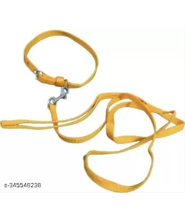Neck Coller Belt with 5 Feet Leash for Pet (Multicolor, S) (Set of 1)